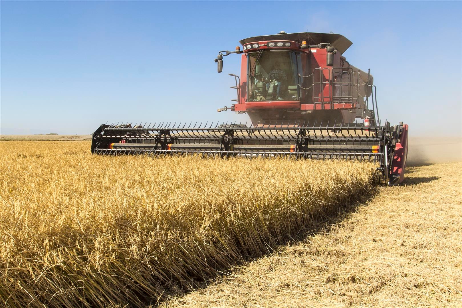 Goodbye tumbleweeds? USDA launches extinction plan