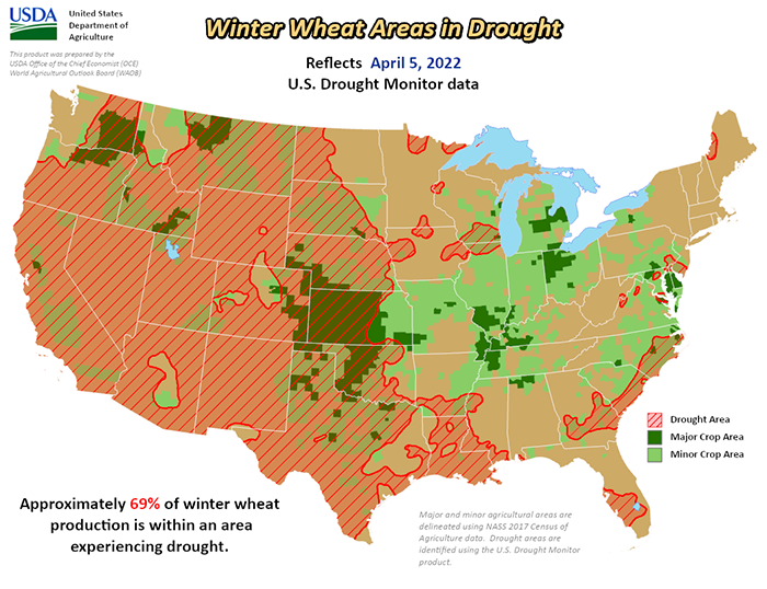 Winter wheat areas in drought 