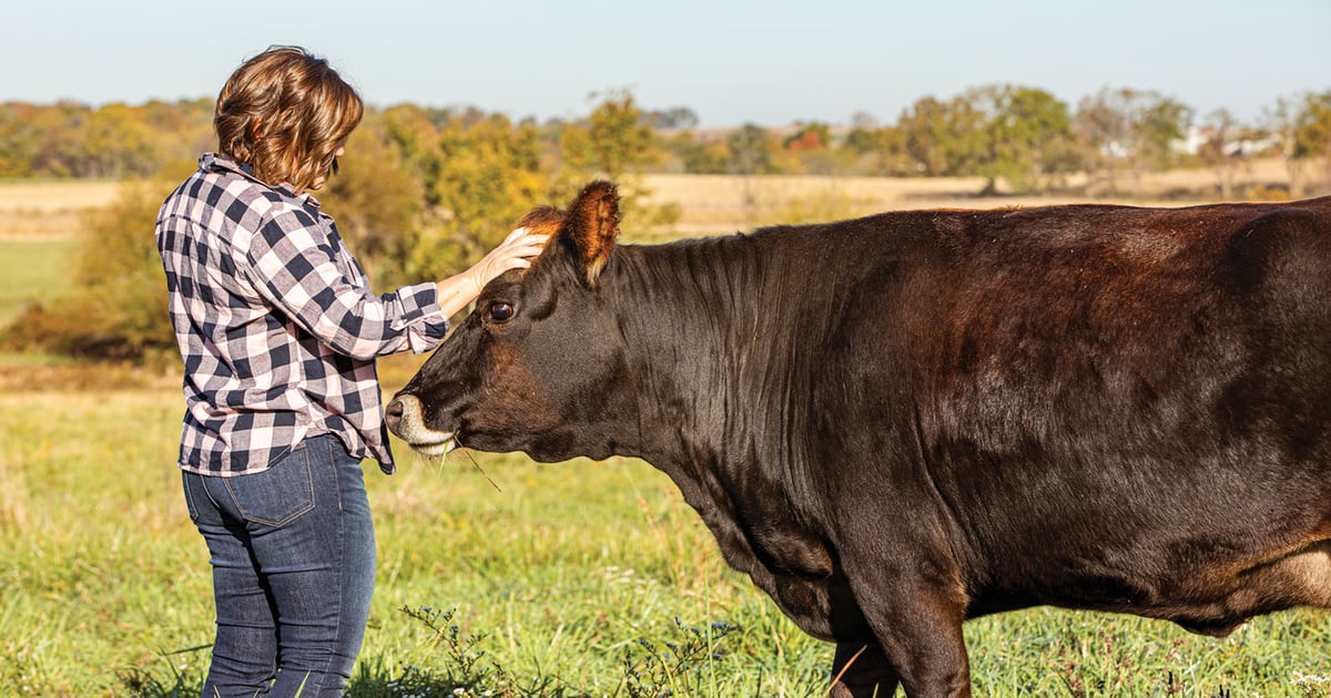 Inspiring stories of women building farms from scratch