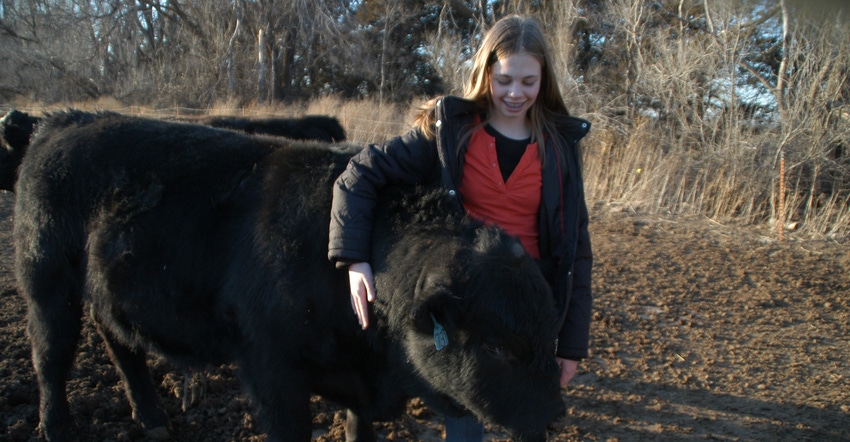 girl with cattle girl with cattle