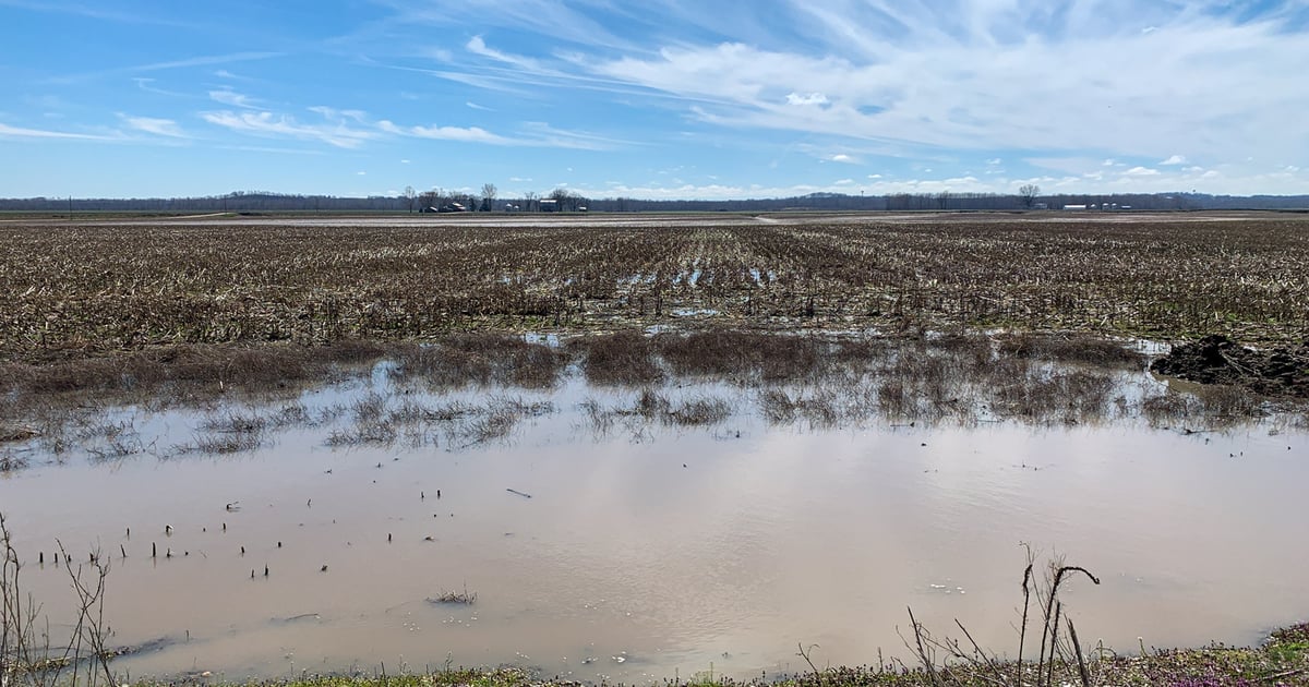 Rainfall piles up, causes problems for spring planting