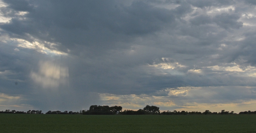 field with rain and storm clouds field with rain and storm clouds