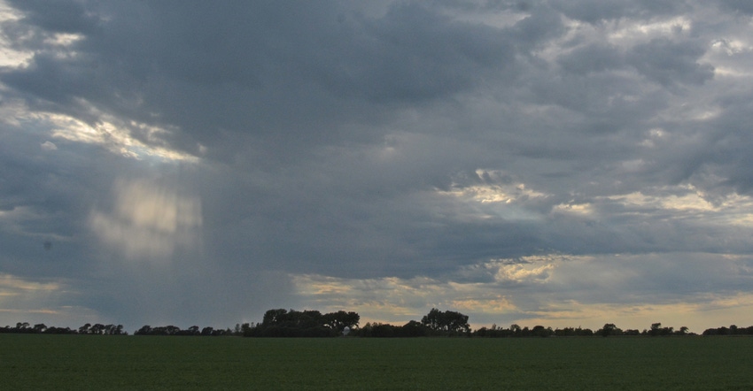 field with rain and storm clouds