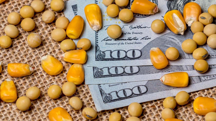 corn and soybeans on hundred dollar bills