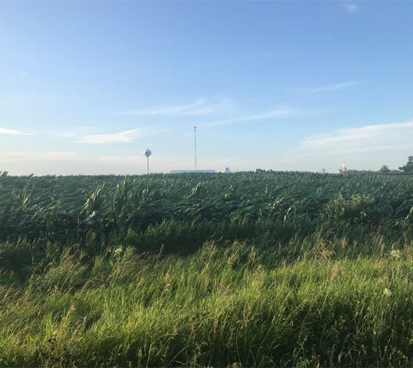 Eastern Iowa cornfield left with wind damage after a July 9, 2020 storm