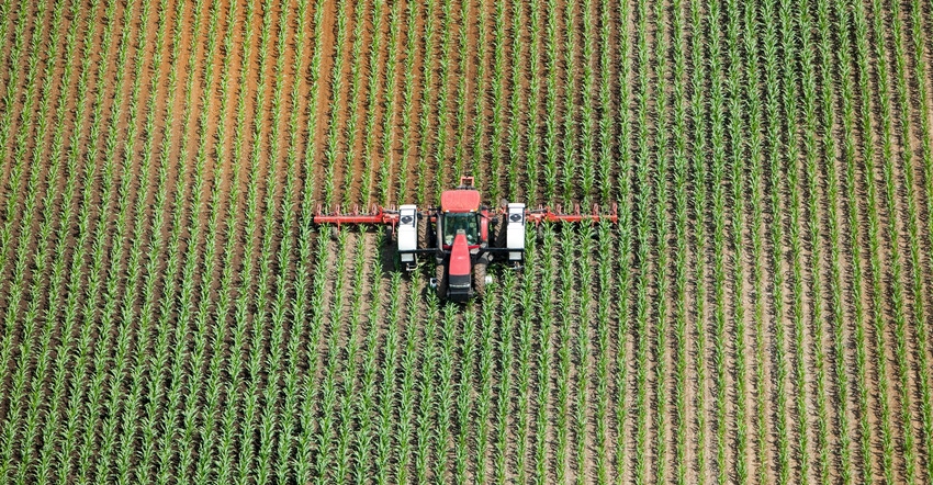 Tractor spraying corn field