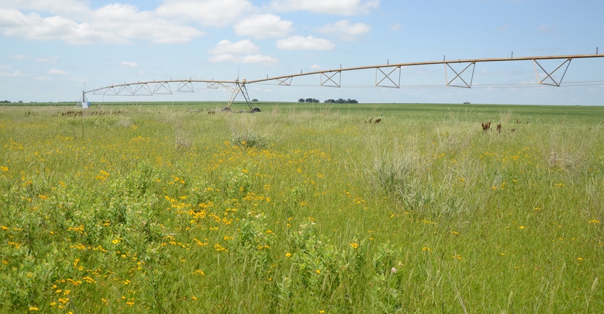Field with irrigation equipment
