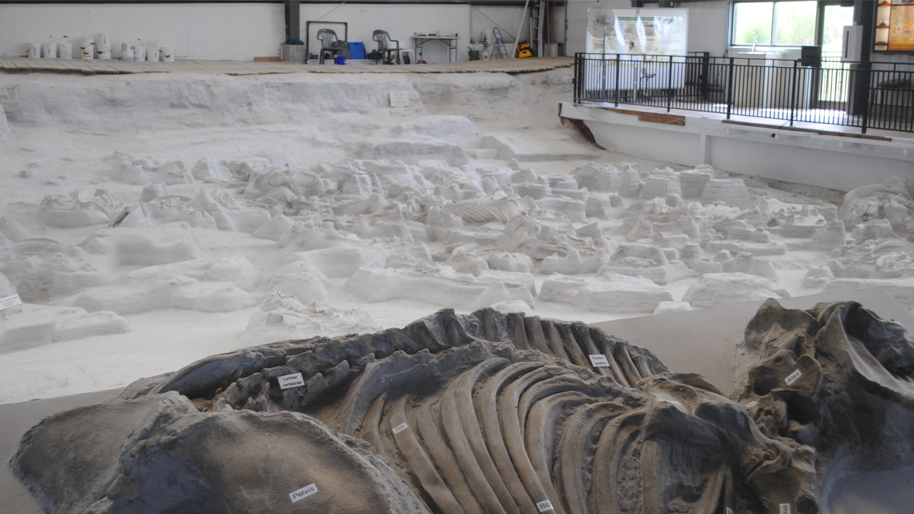 Ashfall Fossil Beds are Nebraska's Pompeii