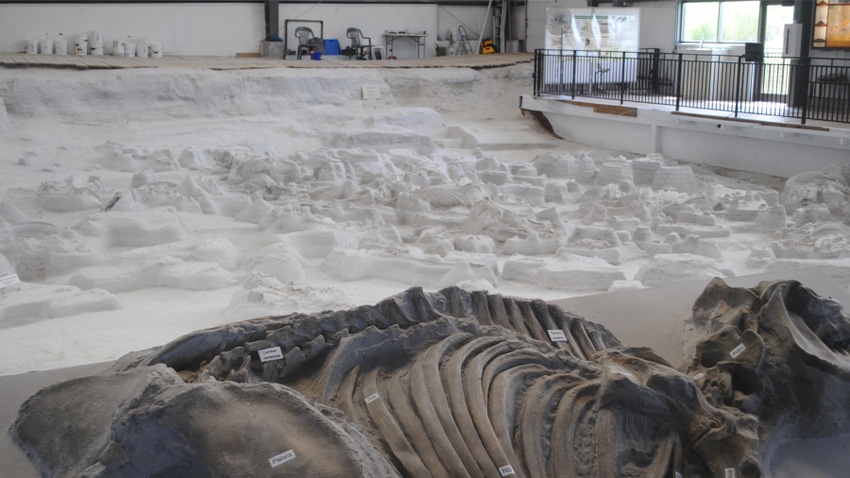 Ashfall Fossil Beds