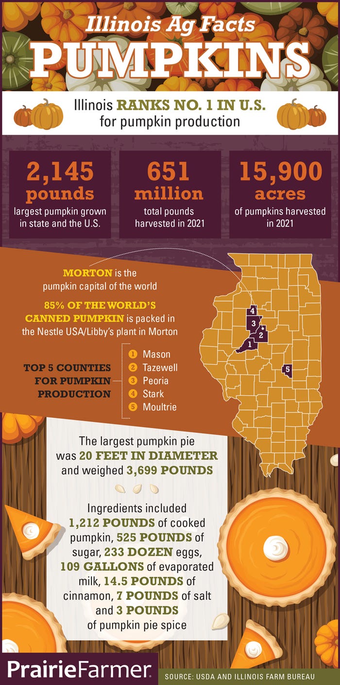 Illinois Ag Facts about Pumpkins infographic