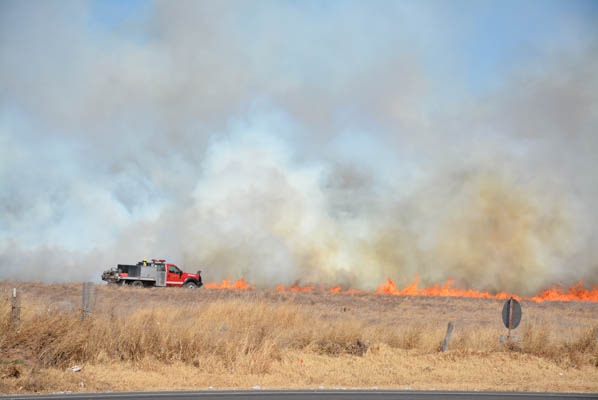 SWFP-SHELLEY-HUGULEY-18-WILDFIRE-OLTON.jpg SWFP-SHELLEY-HUGULEY-18-WILDFIRE-OLTON.jpg