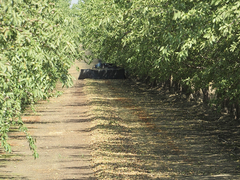 TNFP0905-tim-hearden-harvest_BT_Edits.JPG TNFP0905-tim-hearden-harvest_BT_Edits.JPG