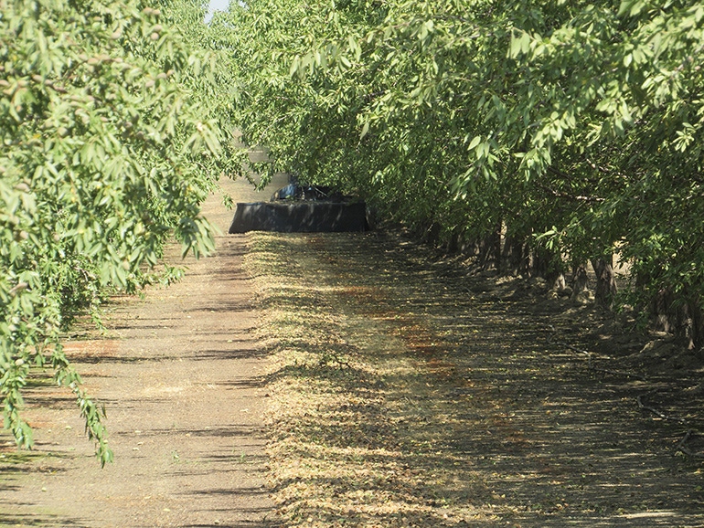 TNFP0905-tim-hearden-harvest_BT_Edits.JPG