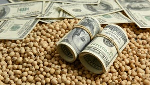 Soybeans with money