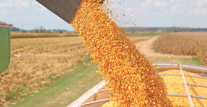 corn-harvest-1152-staff-dfp-web.jpg