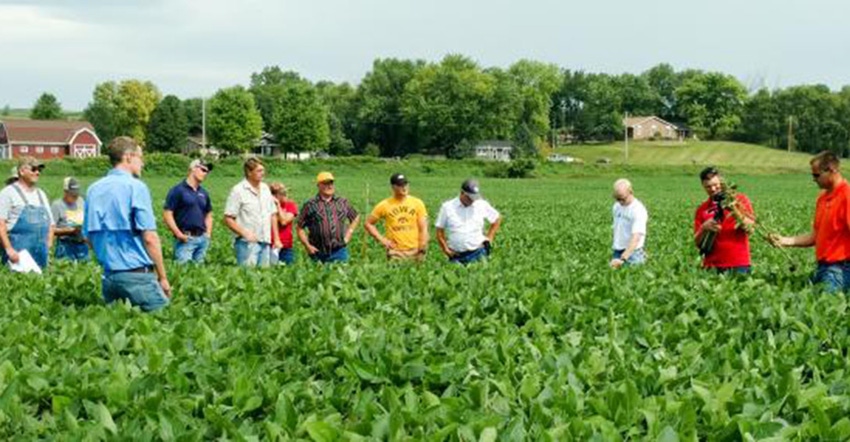 Bunch of guys in a soybean field Bunch of guys in a soybean field