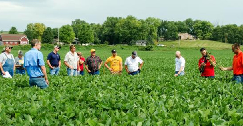 Bunch of guys in a soybean field