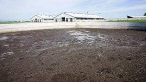 Animal waste lagoon on modern farm operation
