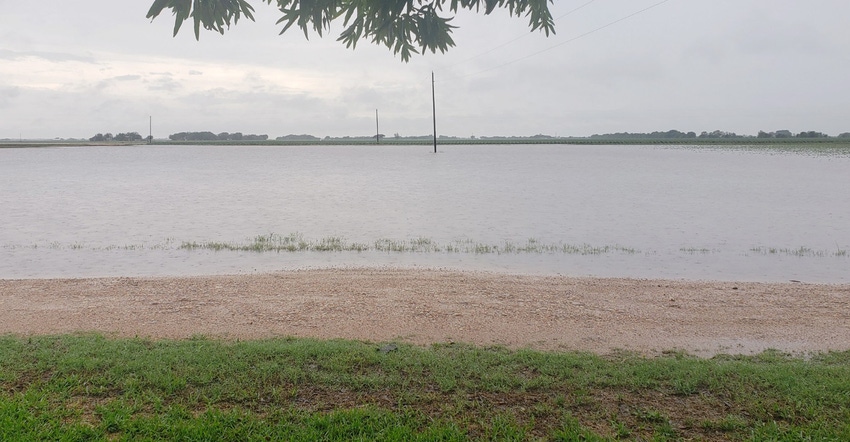 benjamin-crumley-flooded-cotton.jpg benjamin-crumley-flooded-cotton.jpg