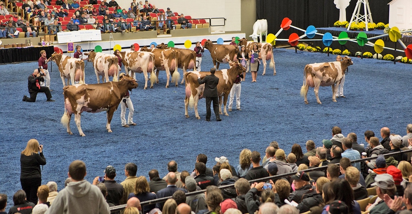 World Dairy Expo show ring World Dairy Expo show ring