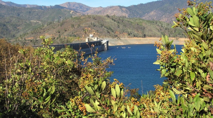 Shasta Dam