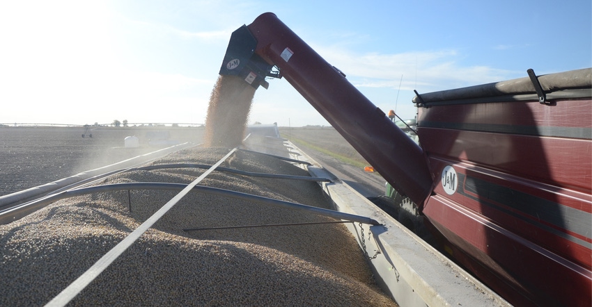 grain suger grain suger