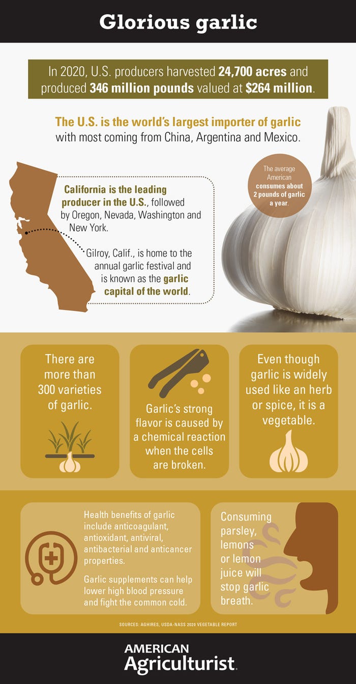 glorious garlic infographic