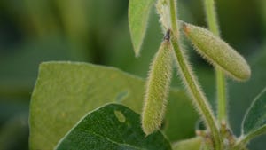 US soybean sustainability