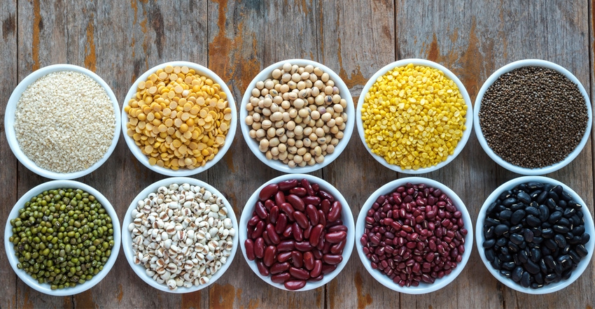 multi-colored grains multi-colored grains