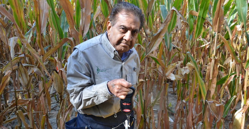 Dave Nanda standing in cornfield