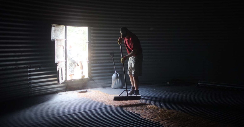 Farmer sweeping out grain bin