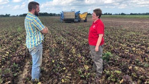 Julie Kikkert, Cornell Extension vegetable program specialist, talks with grower Jason Gaylord in a beet field at My-T Acres