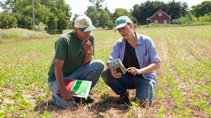 A farmer and an agricultural consultant analyze the condition of a young soybean field