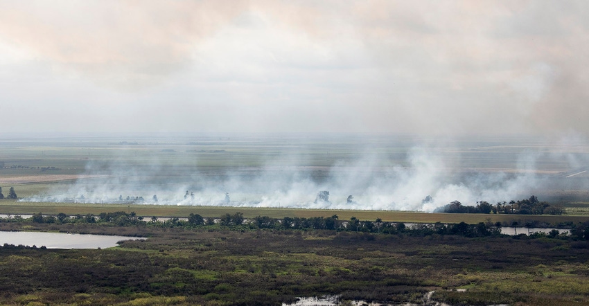 Burning sugarcane field in Florida