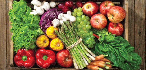 VEGGIES.gif VEGGIES.gif