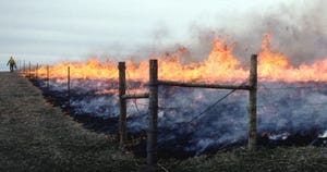 WFP-ARS-burning.jpg