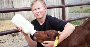 Young boy feeding a calf with a bottle