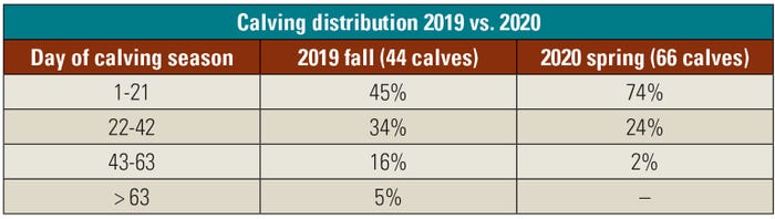 Calving distribution 2019 vs. 2020 table