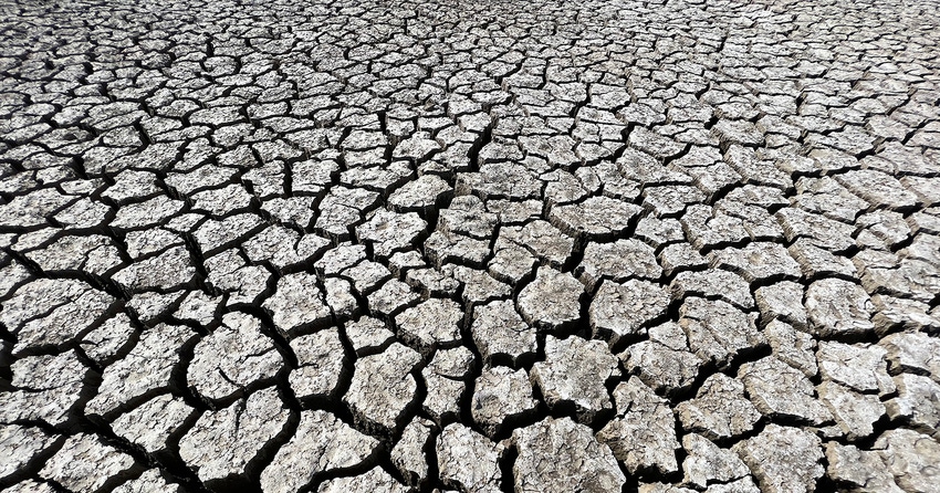 drought-bmurphree_2787copy.jpg drought-bmurphree_2787copy.jpg