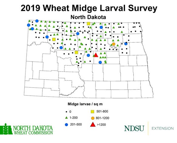 graphic of Midge Larvae Survey results from fall 2019. 
