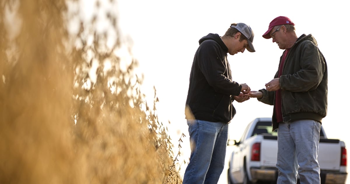Pioneer® Brand Seeds: Higher Yields in Missouri.