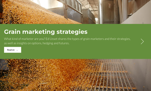improve grain marketing
