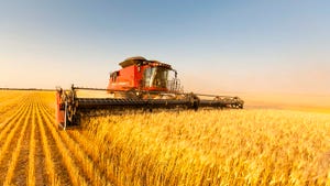 Combine harvesting wheat field