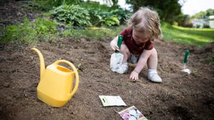 toddler Clare Haynes digging in the garden with shovel