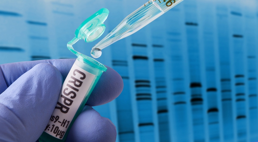 gene or genome editing CRISPR_Bill Oxford_iStock_Getty Images-959053706.jpg