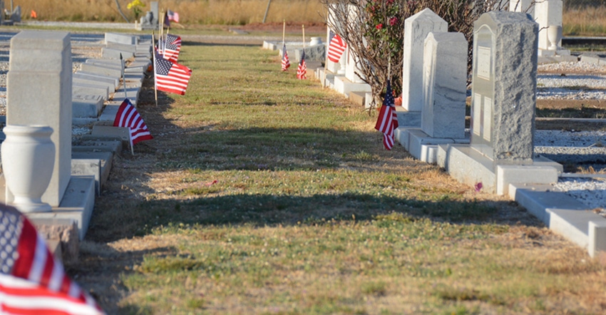 swfp-shelley-huguley-flags-cemetary1.jpg