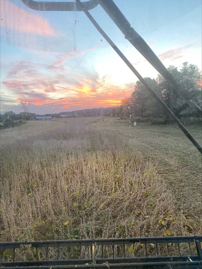 view of soybean harvest from combine