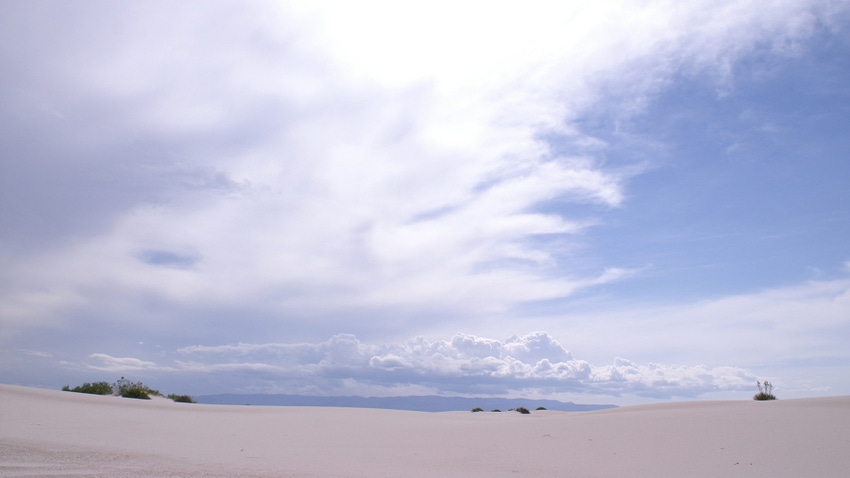 white sands