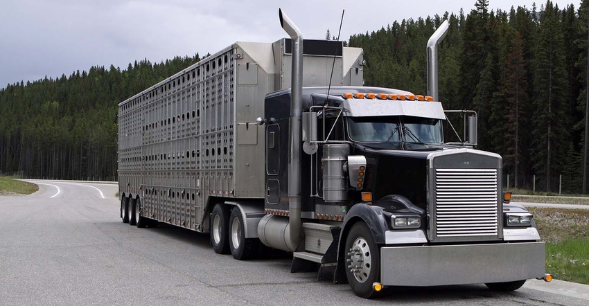 Truck with livestock trailer