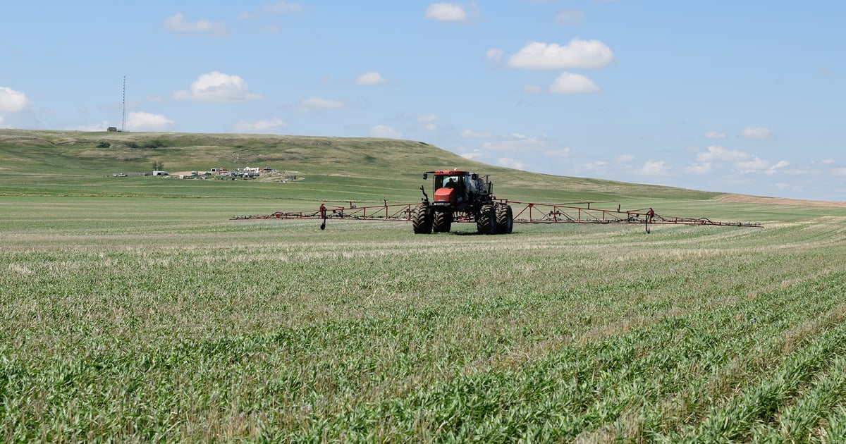 Applications of cereal herbicides